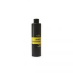 HAIR POTION SHAMPOO ARGAN 250ML